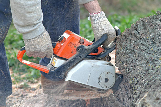 Mulching Services in Big Pine Key, FL